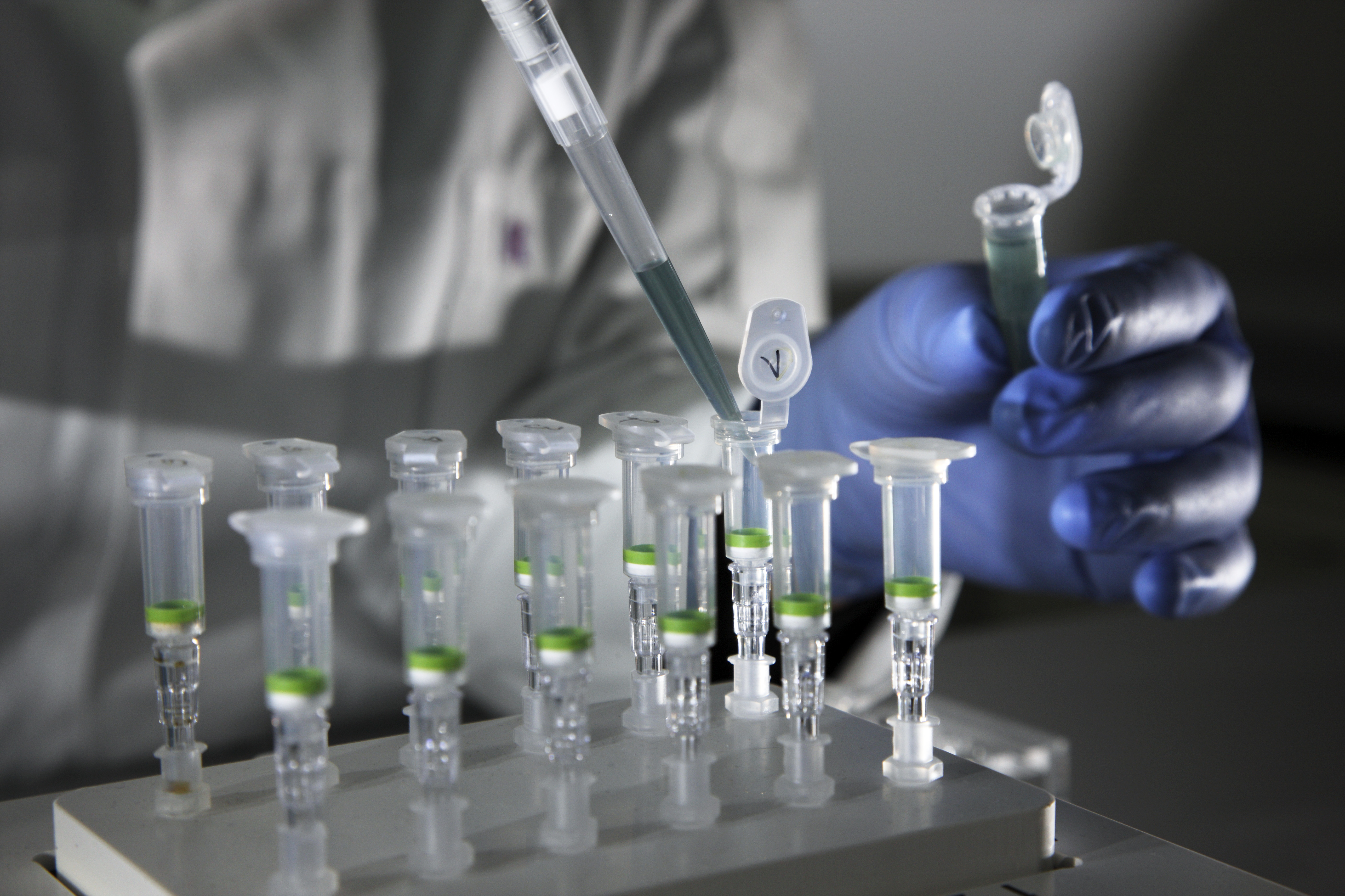 Pipette füllt Flüssigkeit in Plastikröhrchen