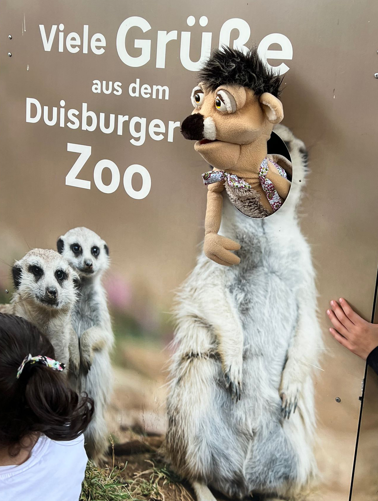 Eddi im Zoo